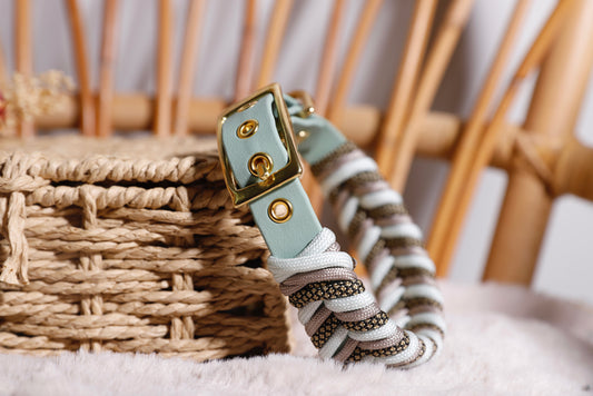 Collier biothane-paracorde Vert