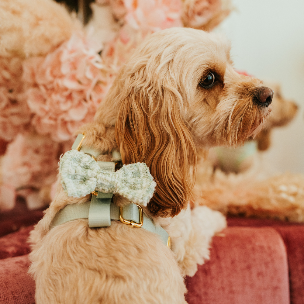 Nœud papillon en tweed texturé matcha