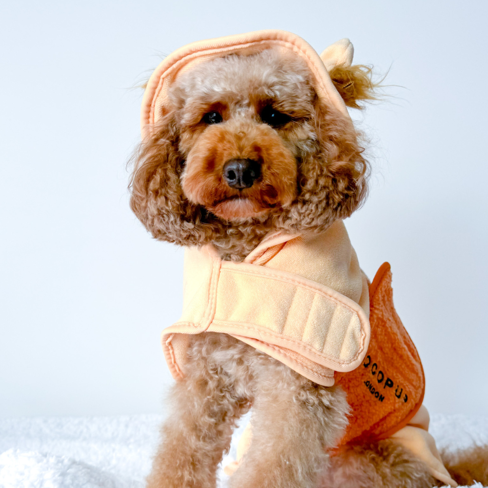 Peignoir de séchage Roary the Lion