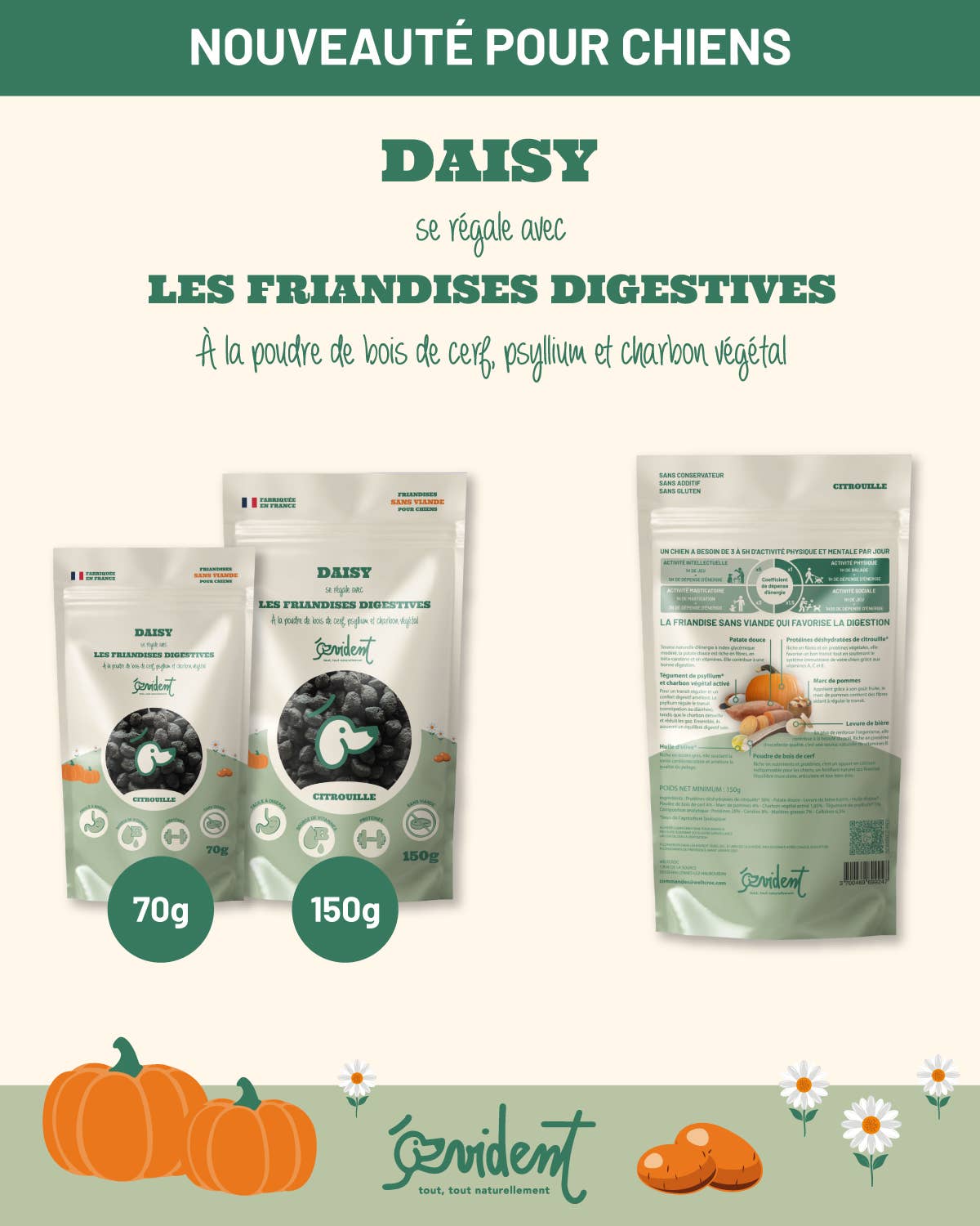 DAISY - Les friandises digestives pour CHIEN