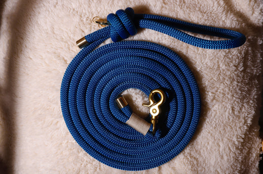 Laisse bleu pétrole