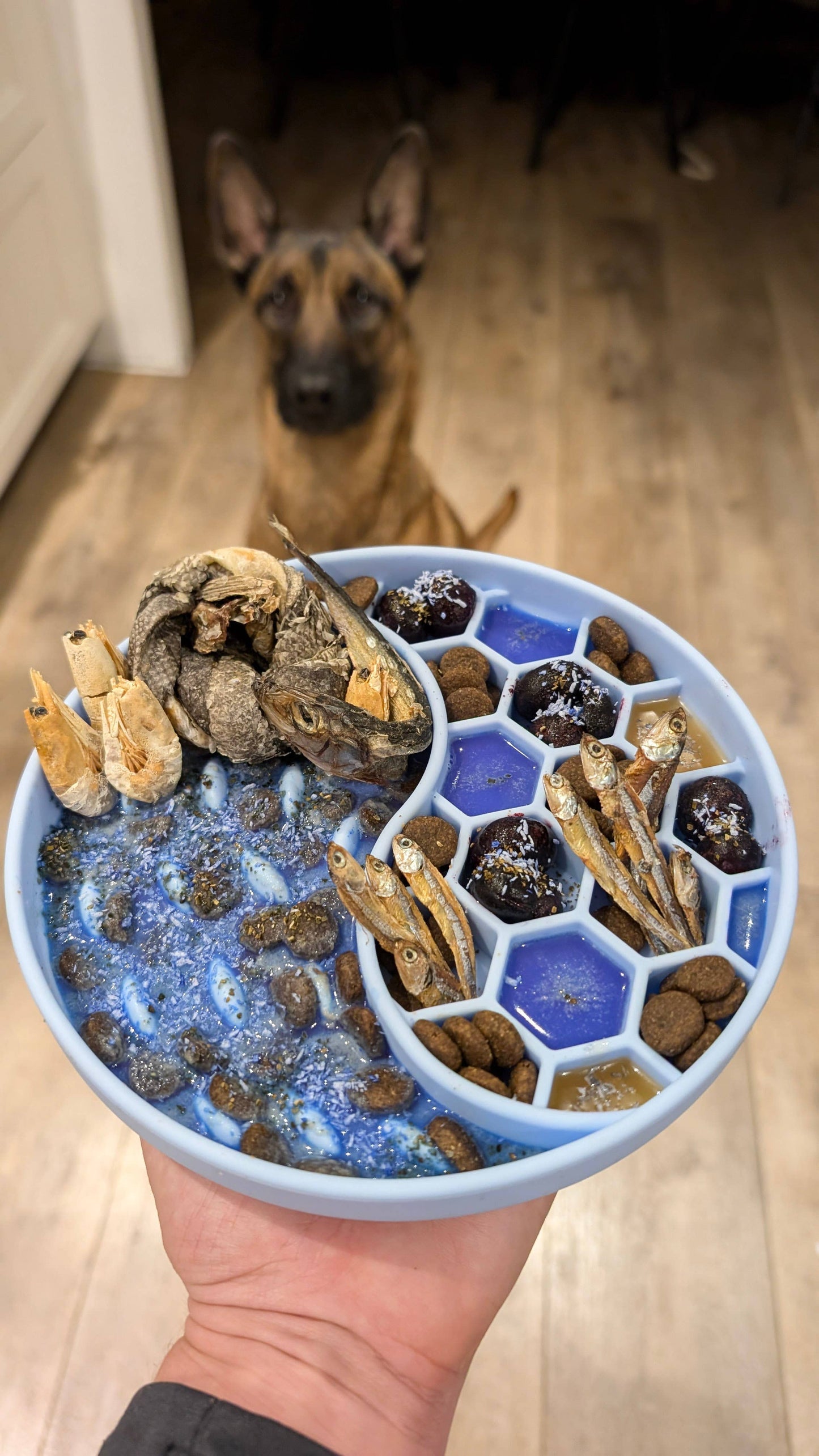 Poussière de Sirène - Garniture de Repas pour Chats et Chiens
