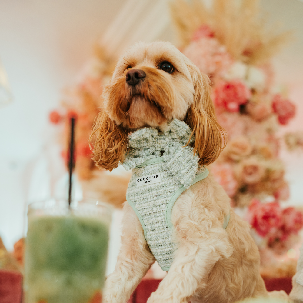 Nœud papillon marin en tweed texturé matcha