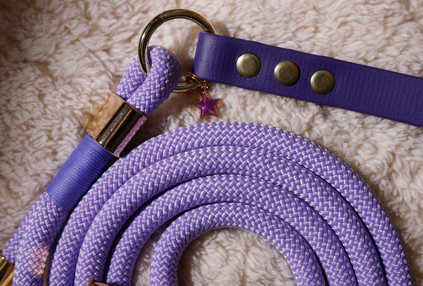 Laisse corde et biothane