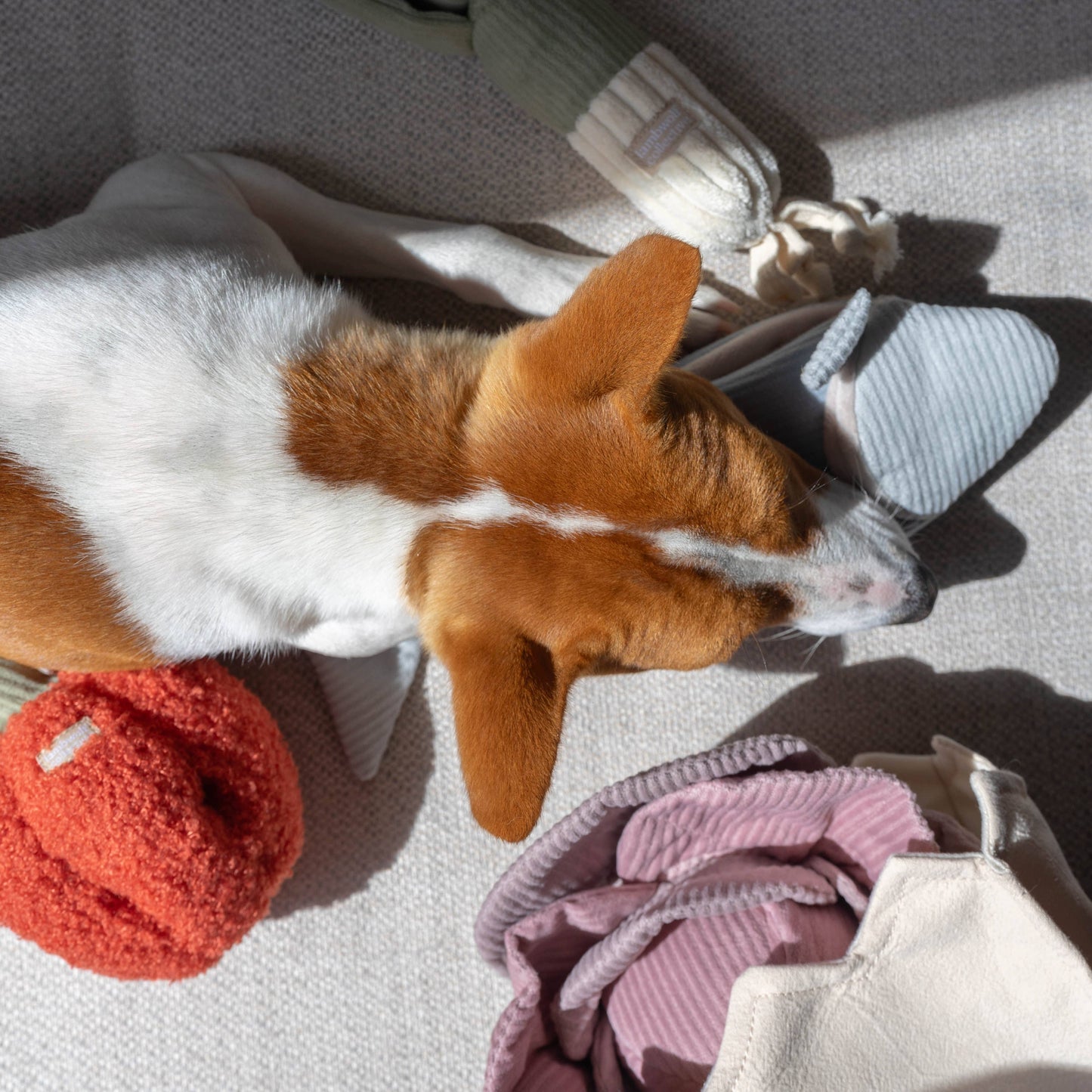 ENSEMBLE DE JOUETS POIVRON/ENRICHISSEMENT