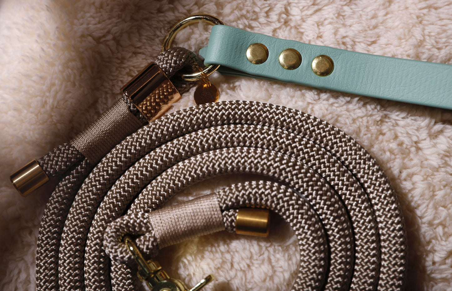 Laisse corde et biothane