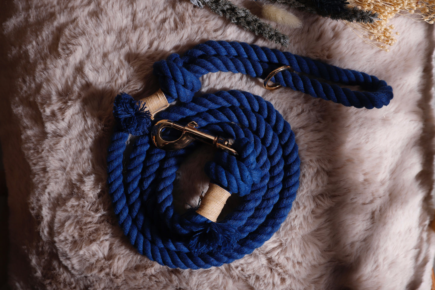 Laisse grosse corde bleue