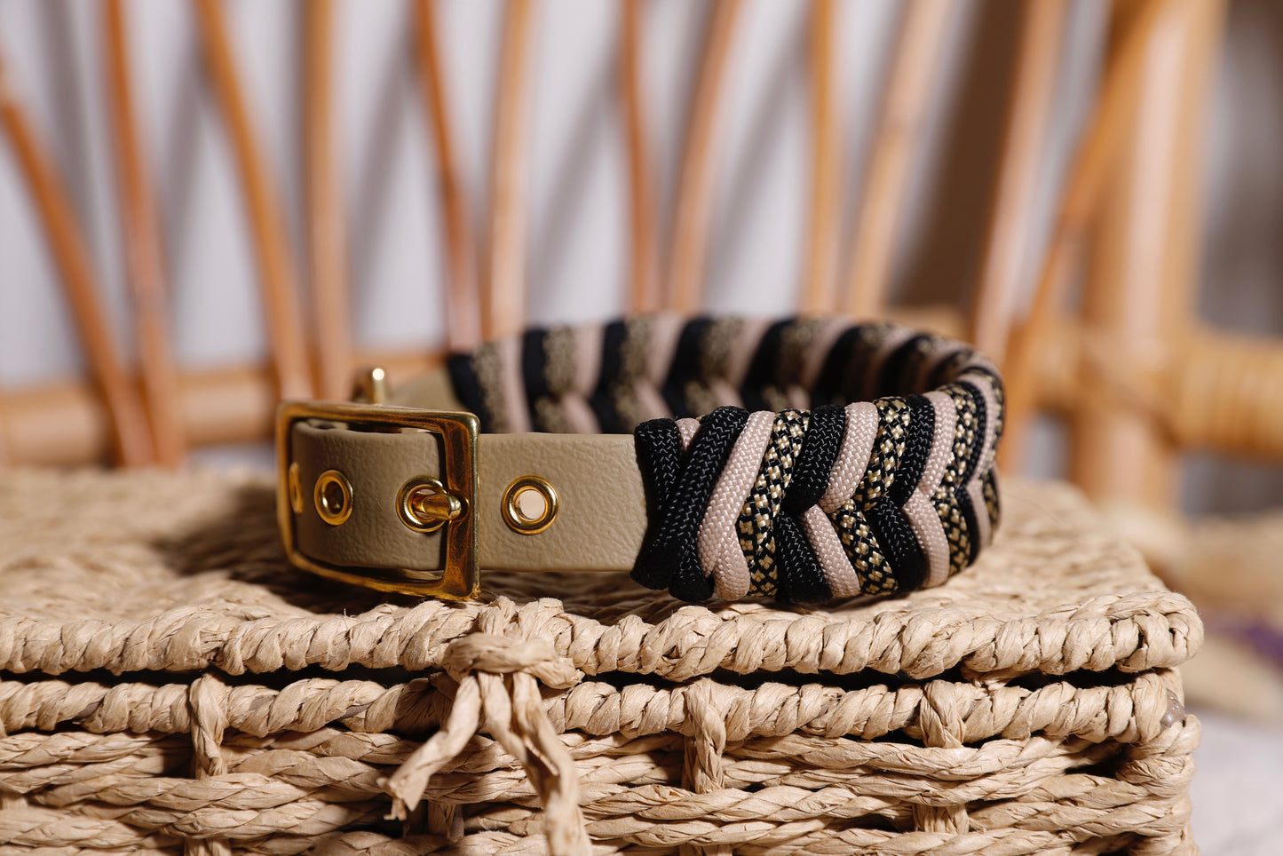 Collier biothane-paracorde