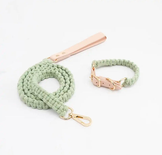 Ensemble laisse et collier