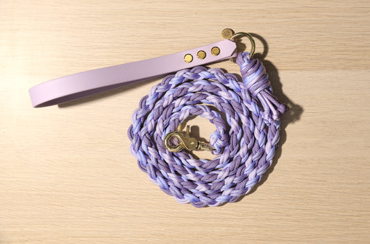 Laisse tressée full violet