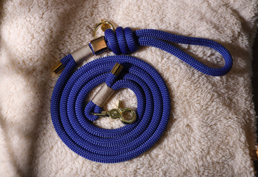 Laisse Bleu Electrique
