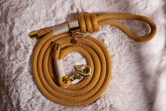 Laisse Jaune moutarde