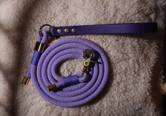 Laisse corde et biothane