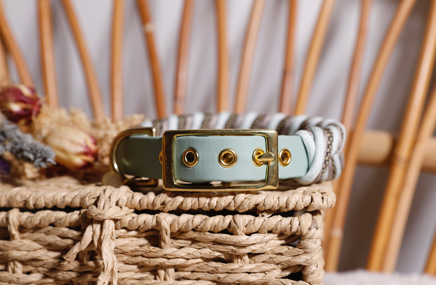 Collier biothane-paracorde Vert