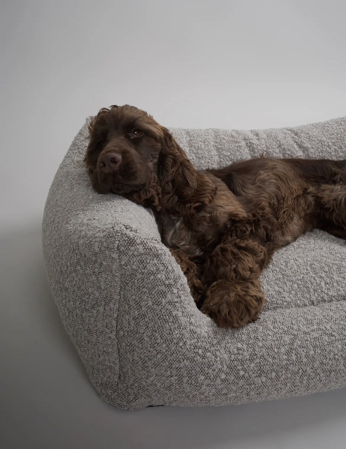 Panier BILLY Bouclé Taupe- NORDOG