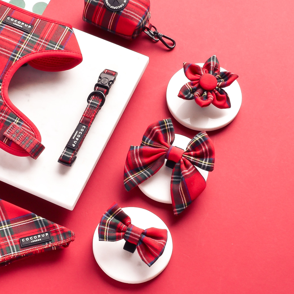 Nœud papillon Tartan Sailor