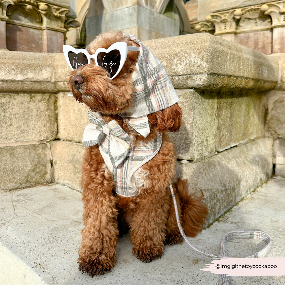 Nœud papillon marin à carreaux de printemps