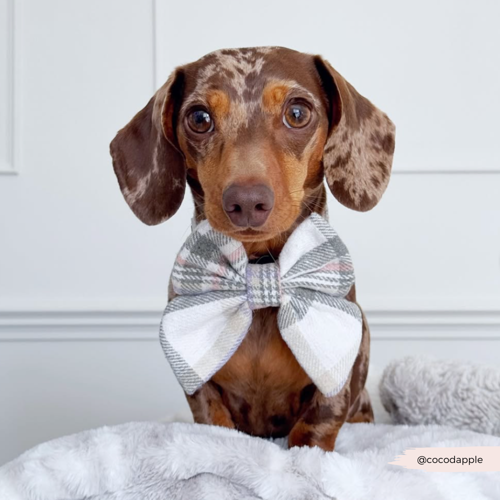 Nœud papillon marin à carreaux de printemps