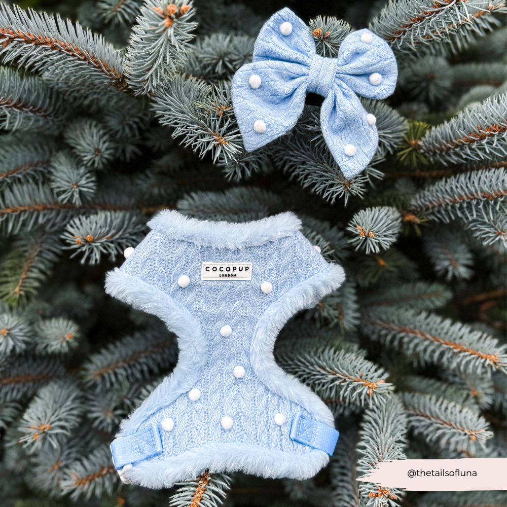 Nœud papillon marin Snowpaws