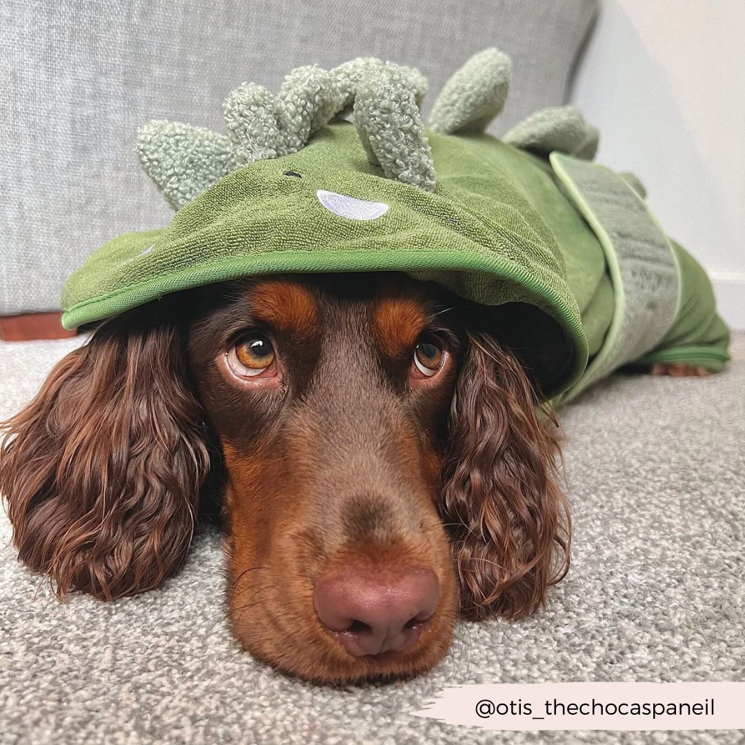 Peignoir de séchage Dinopup