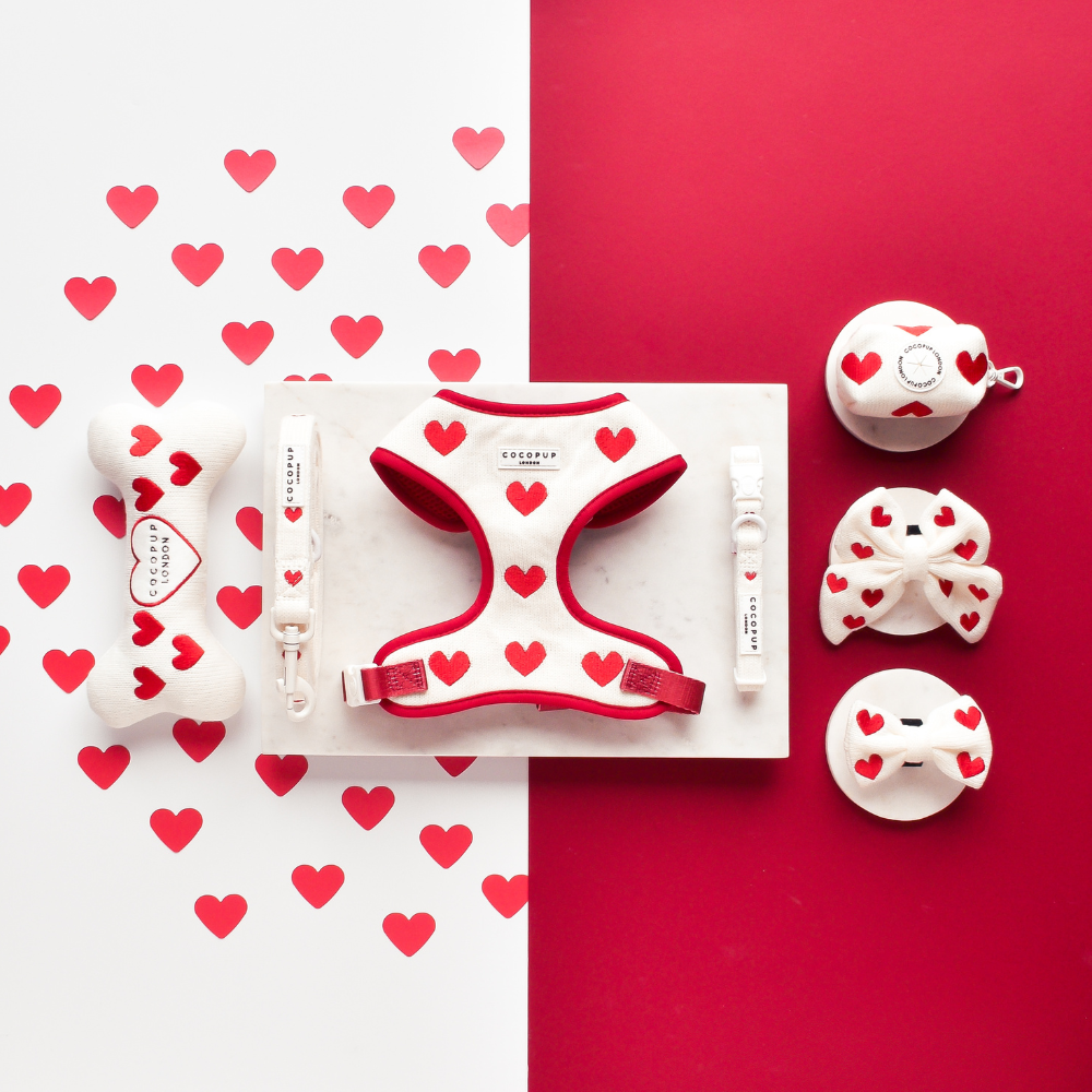 Harnais de Cou Tricoté Réglable