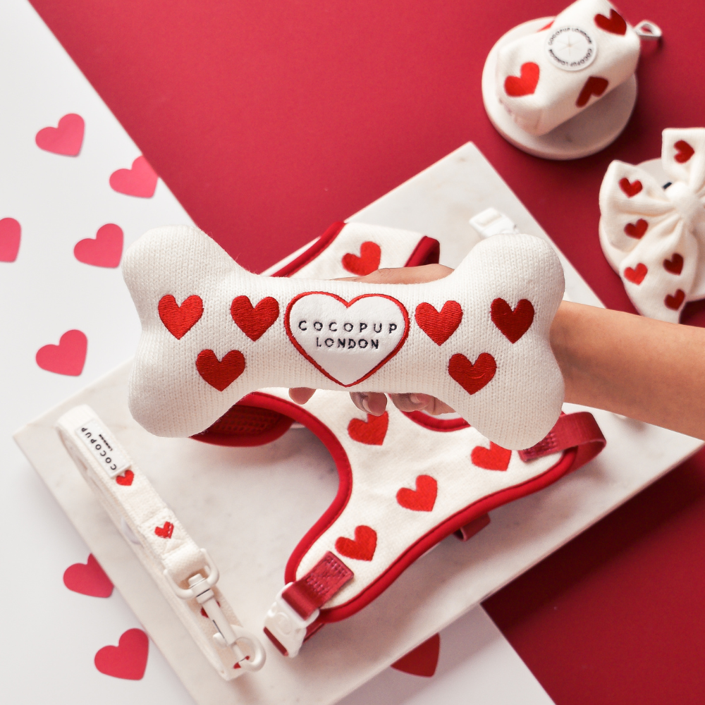 Câlins & Jouet en Tricot en Forme d'Os