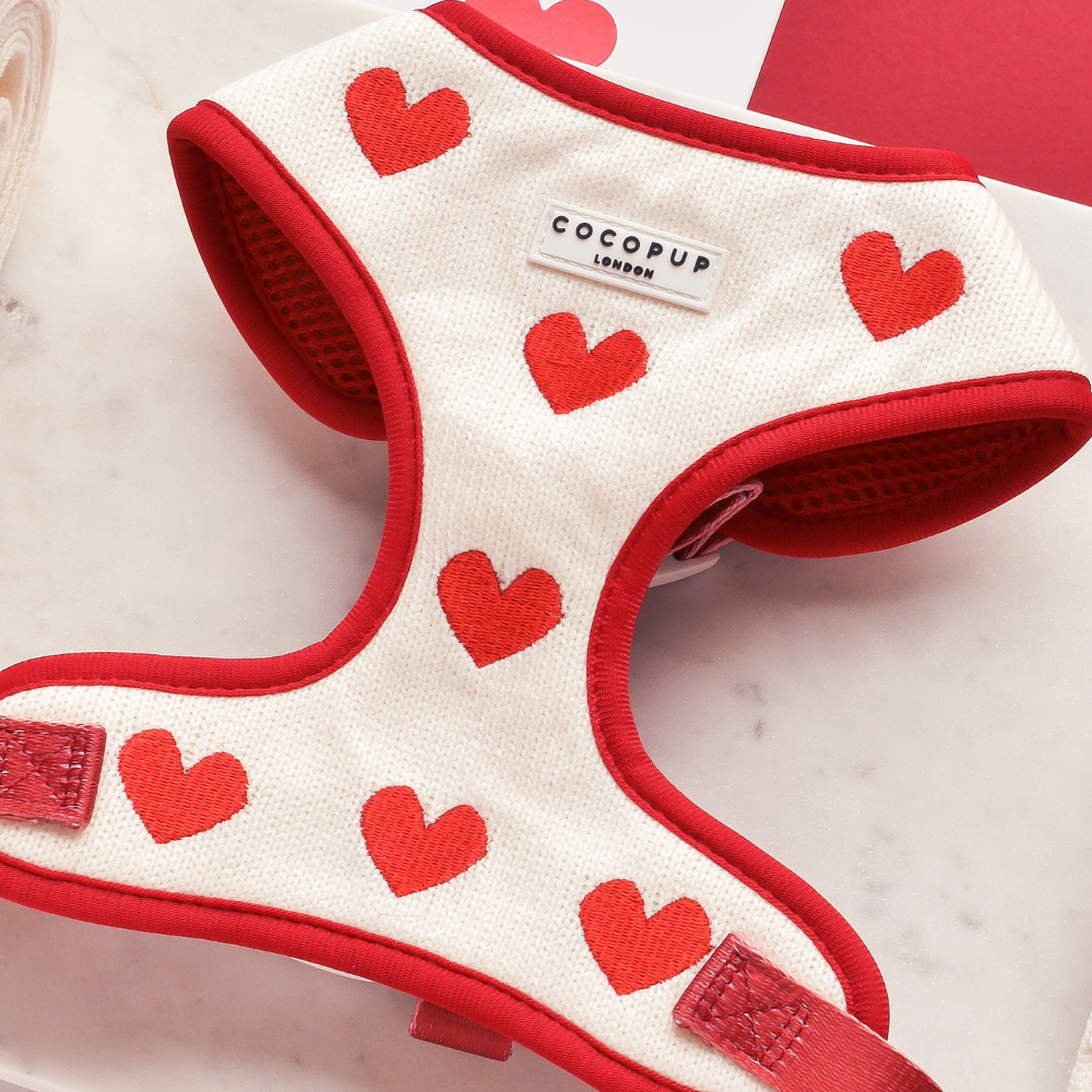 Harnais de Cou Tricoté Réglable