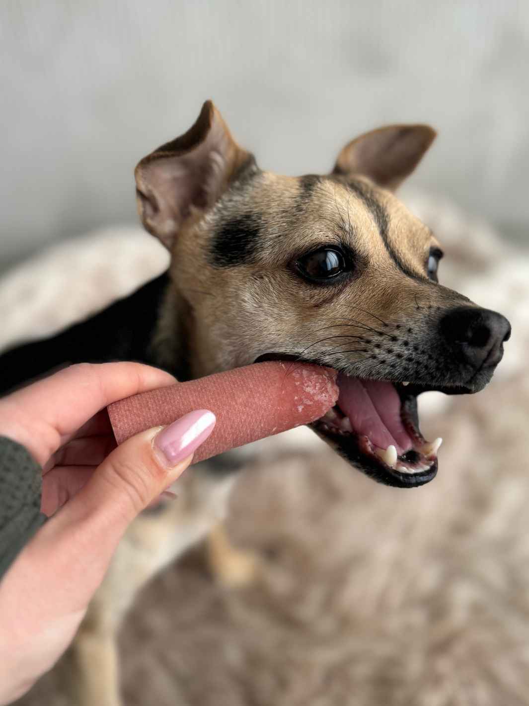 Fromage de yak aromatisé