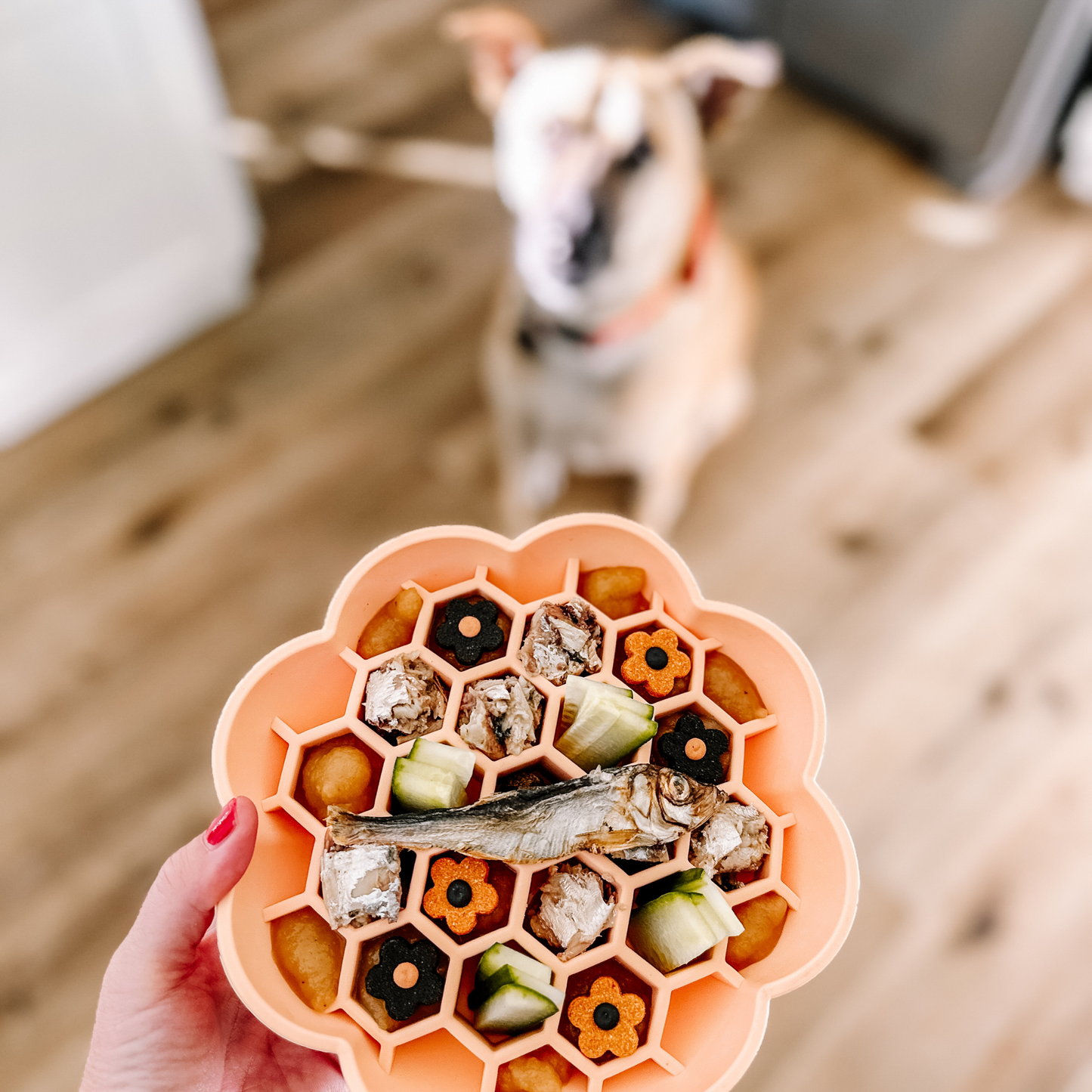 Gamelle slow feeder Daisy pêche pour chiens