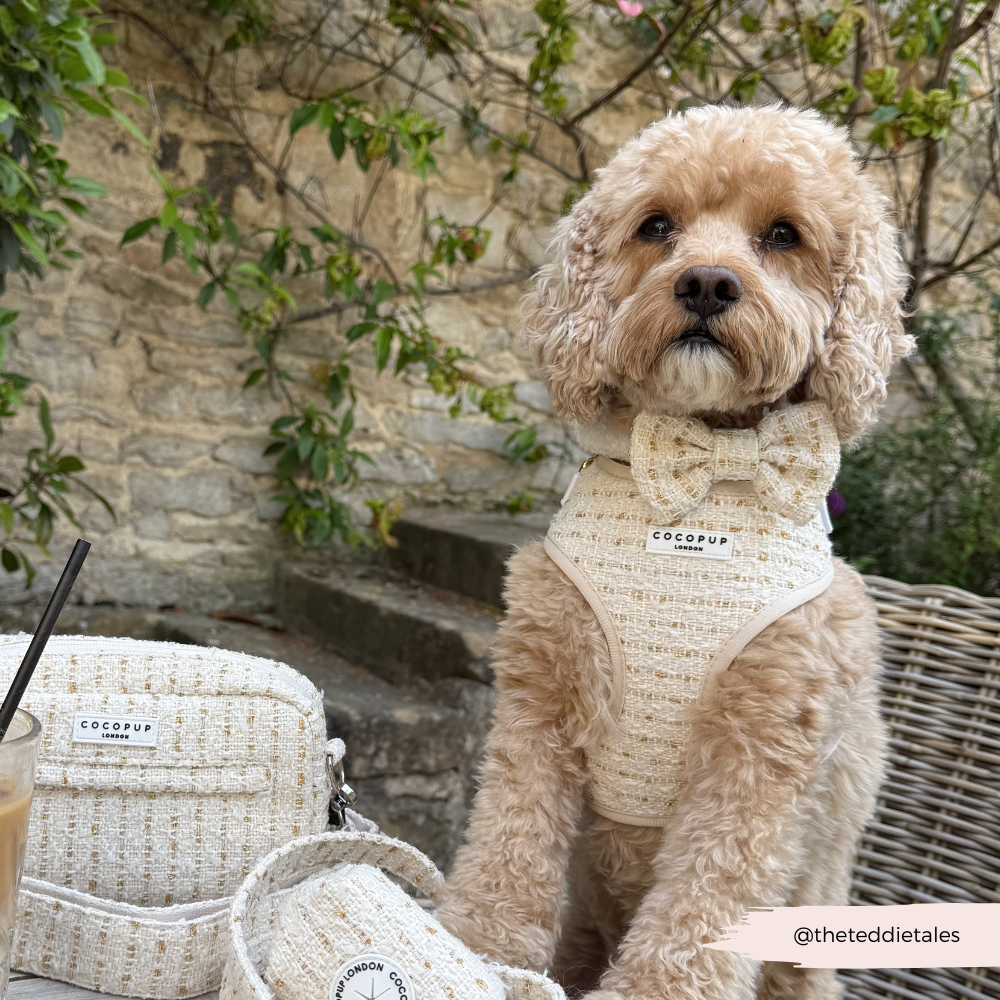 Nœud papillon en tweed texturé vanille