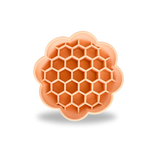 Gamelle slow feeder Daisy pêche pour chiens