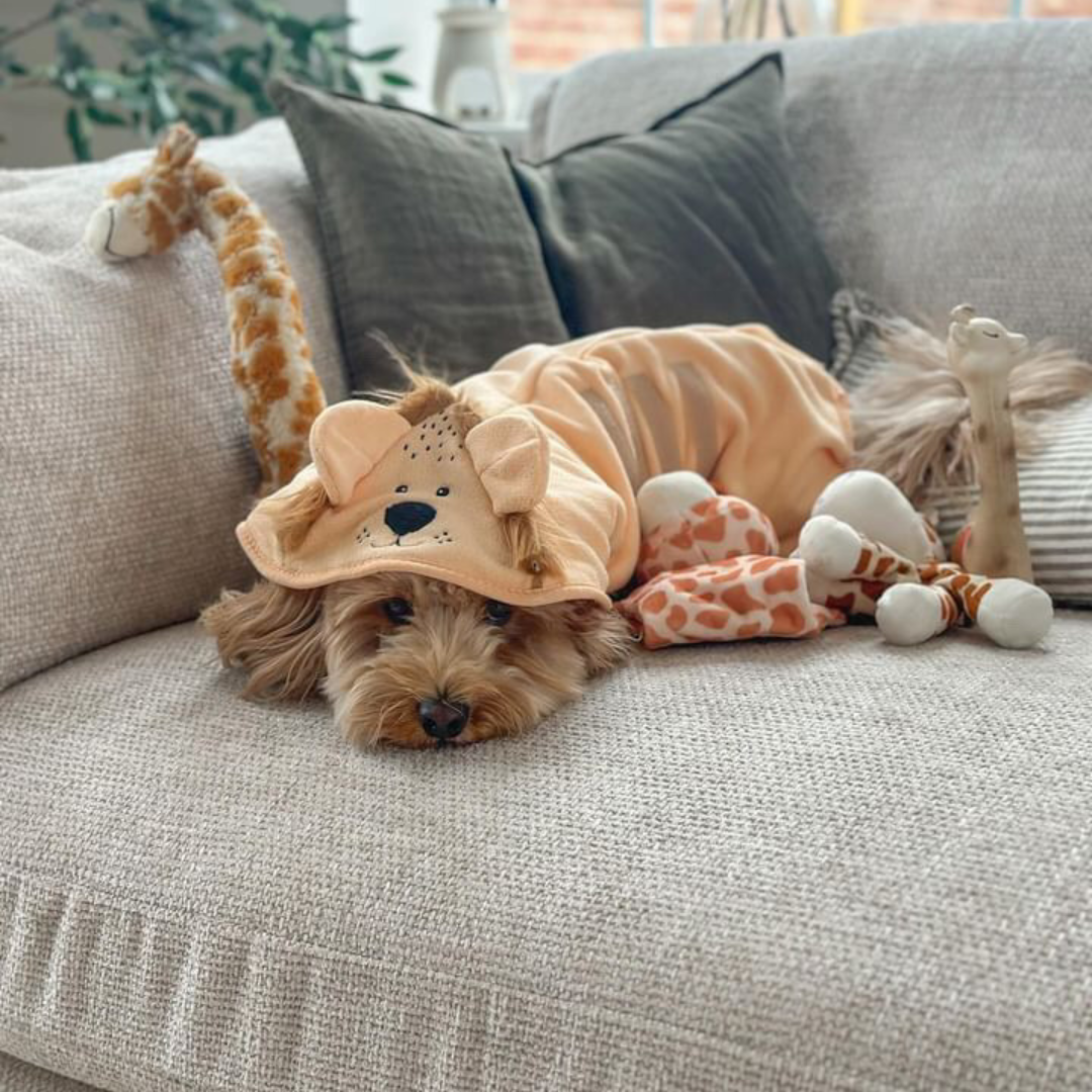 Peignoir de séchage Roary the Lion