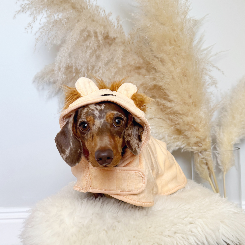 Peignoir de séchage Roary the Lion