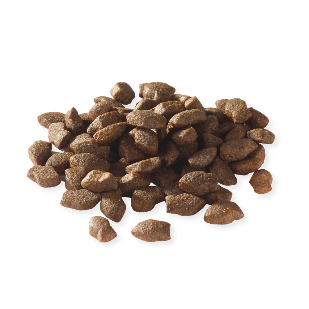 Fish4Dogs Support+ Santé des articulations - Bouchées au saumon 150 g