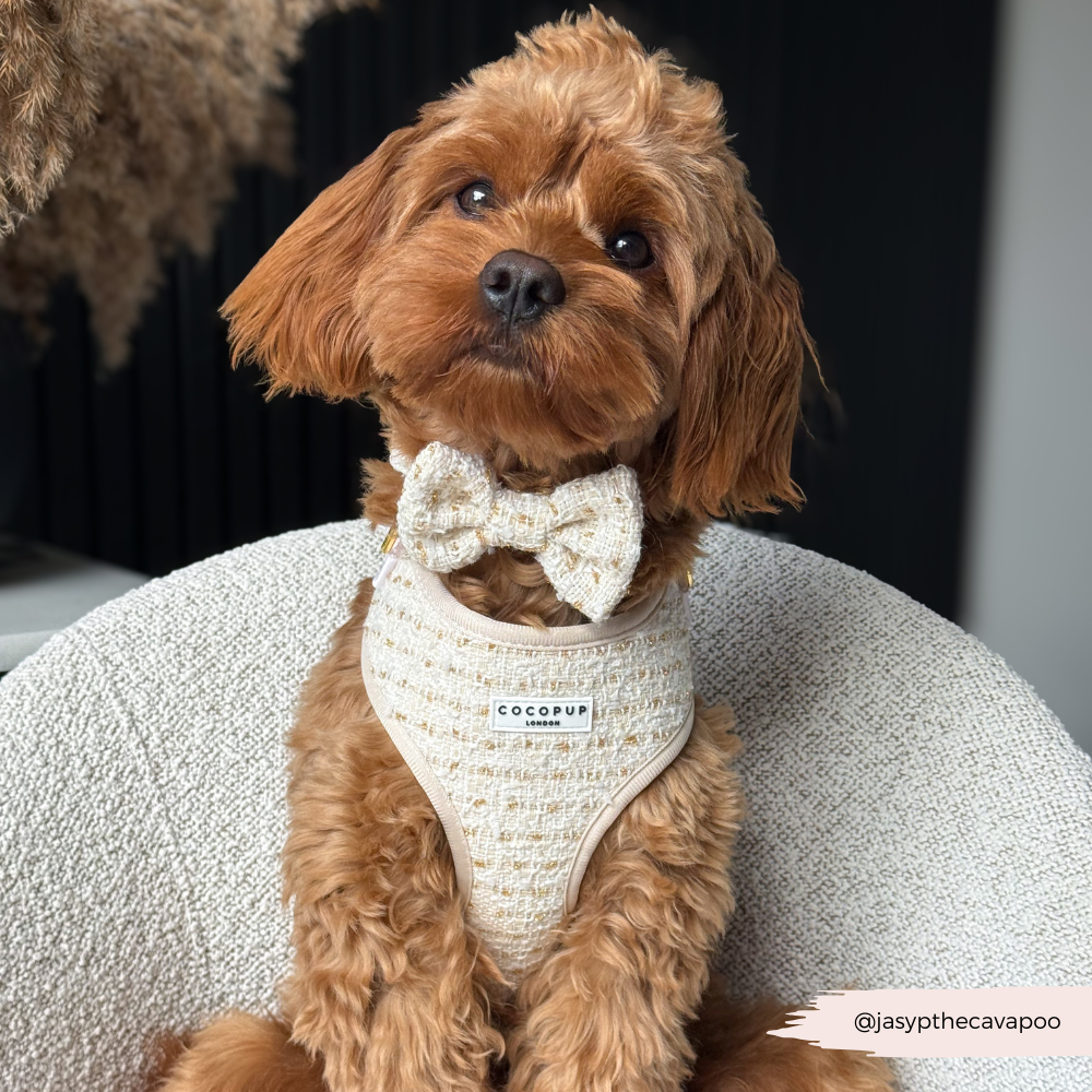 Nœud papillon en tweed texturé vanille