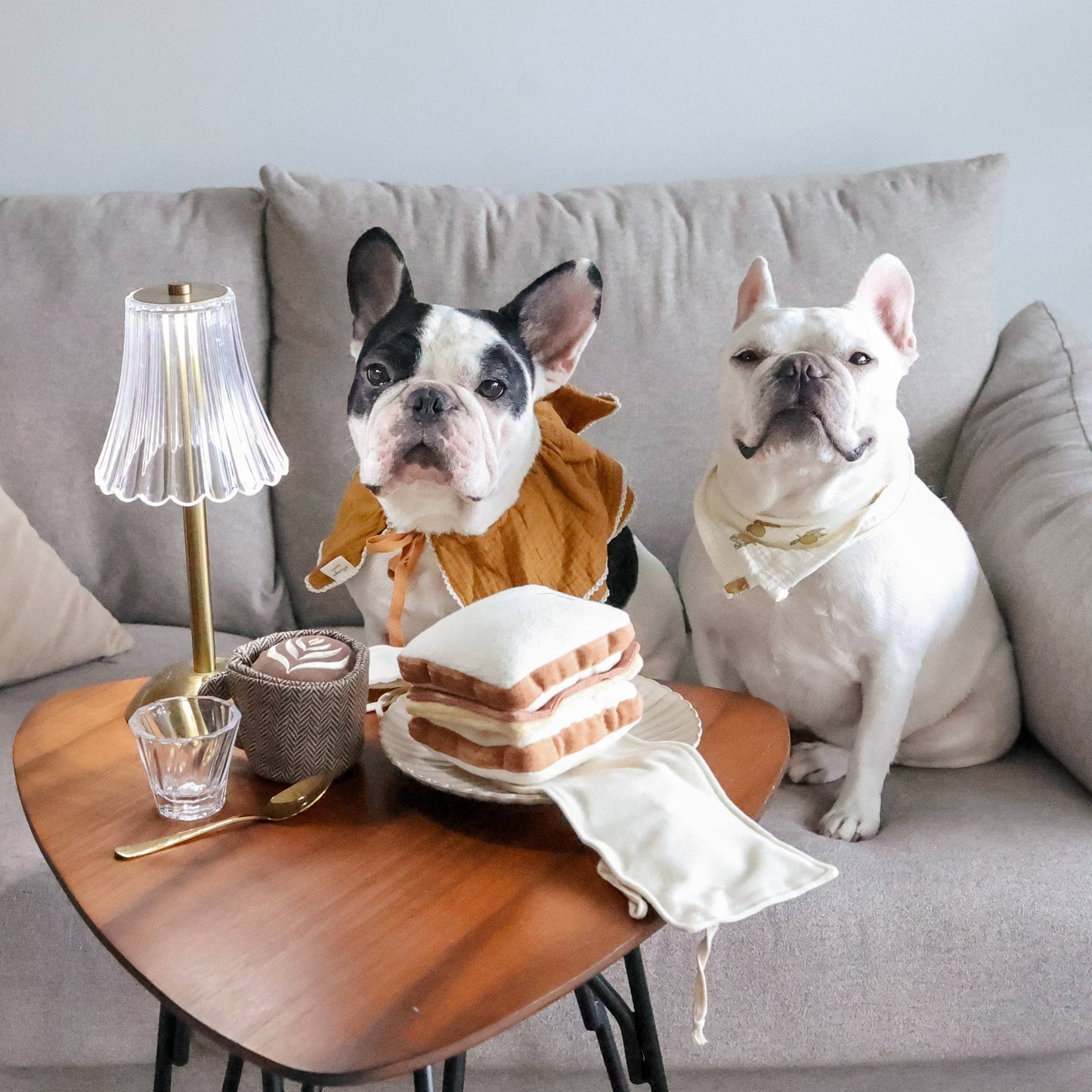 ENSEMBLE DE JOUETS POUR LATTE POP/ ENRICHISSEMENT/JOUET À PRISER