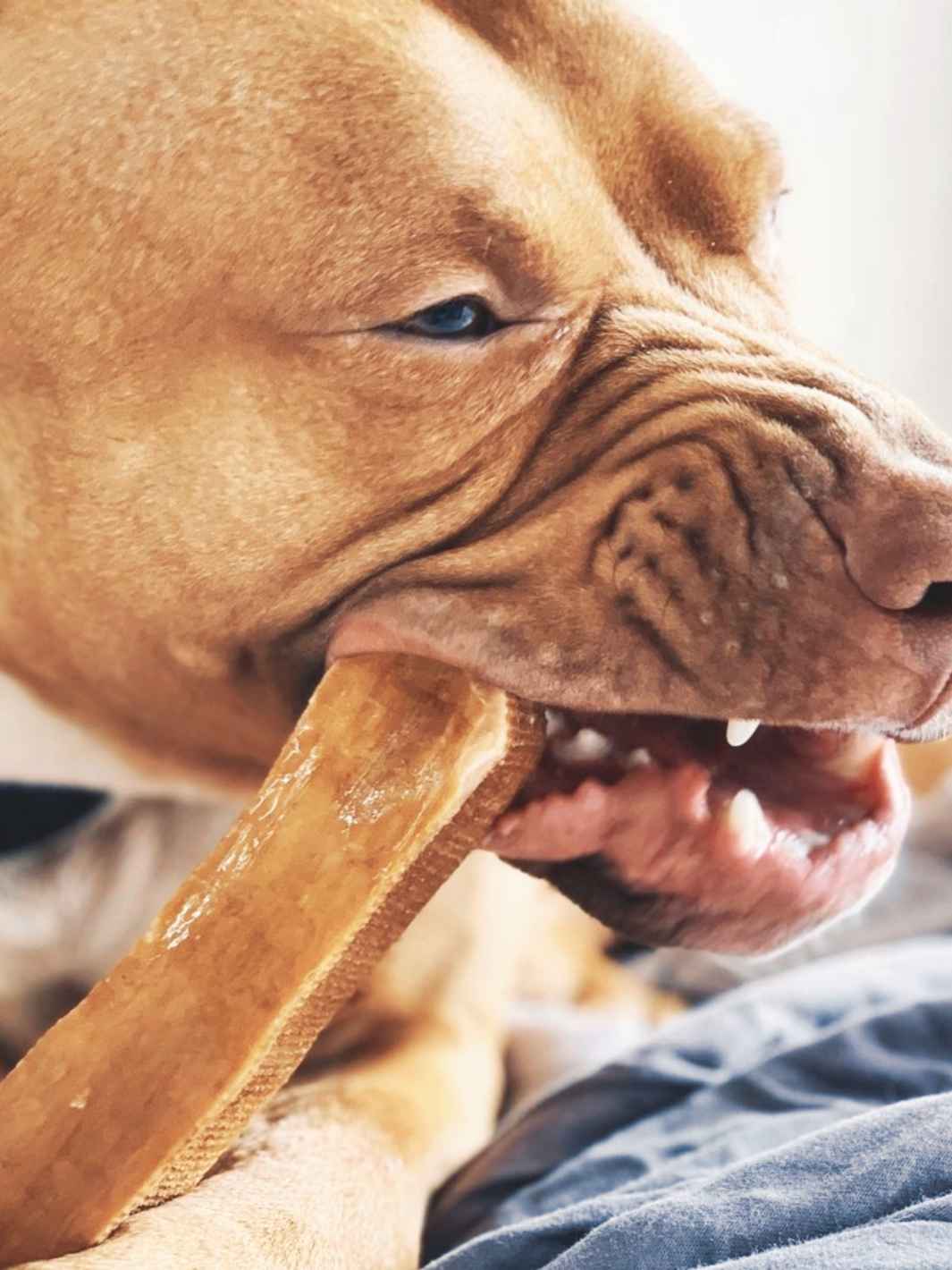 Fromage de yak aromatisé