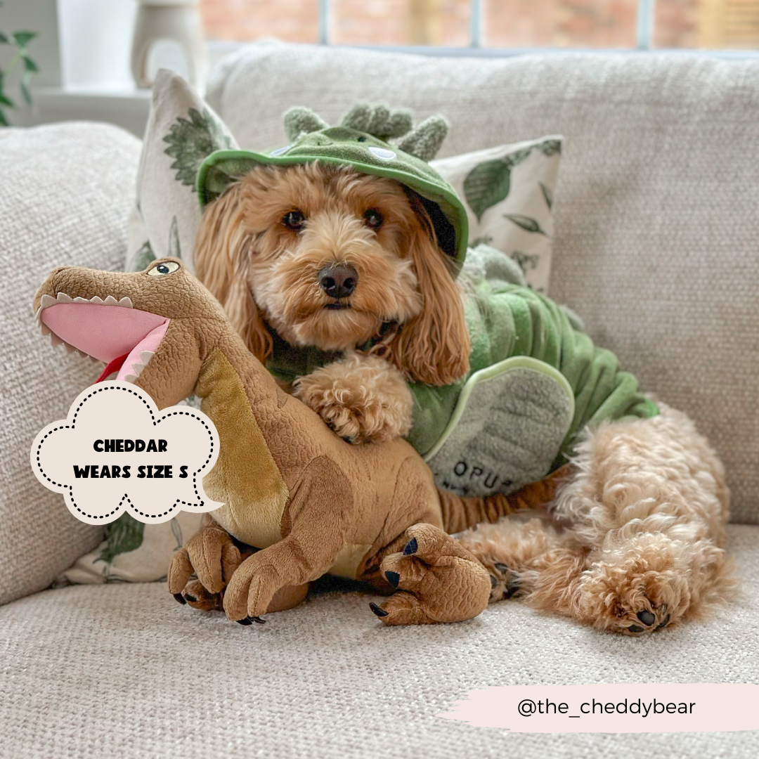 Peignoir de séchage Dinopup