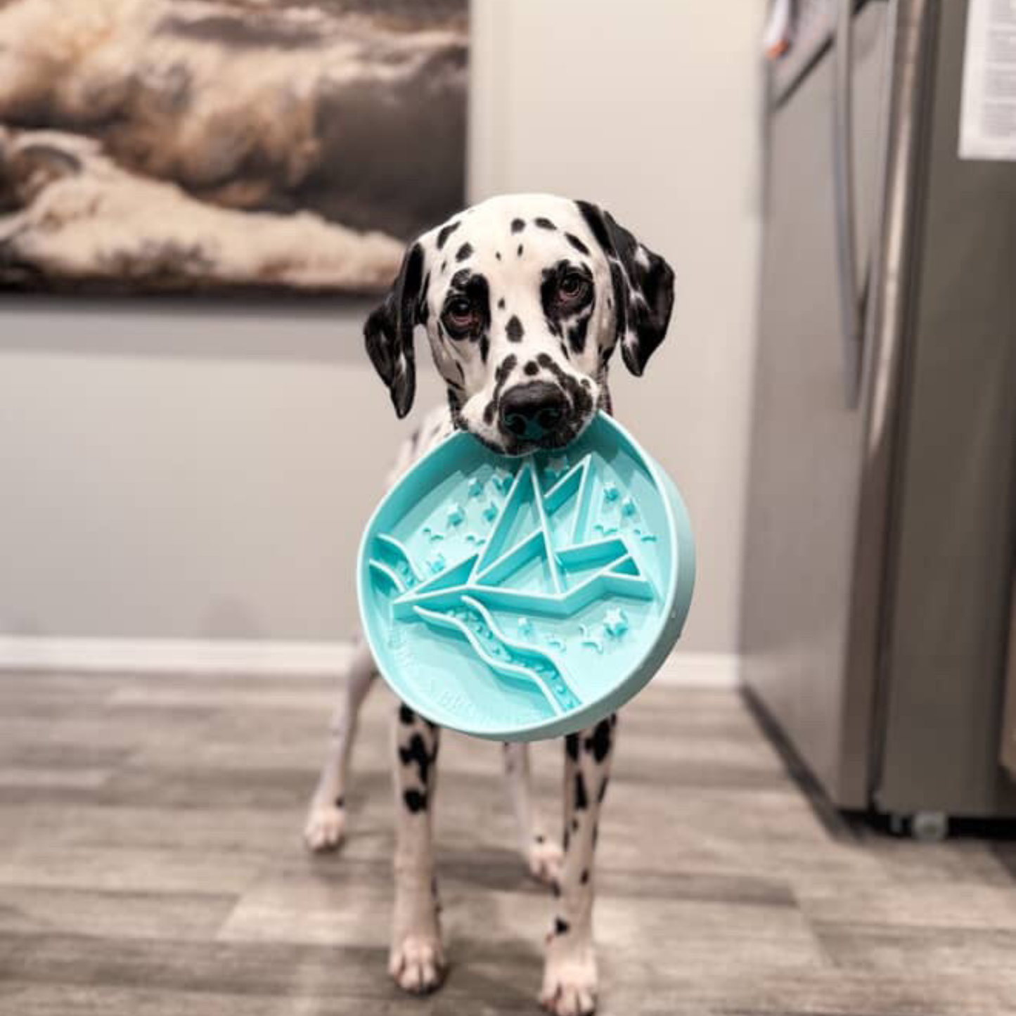 Signature Origami Mangeoire Lente Bleue