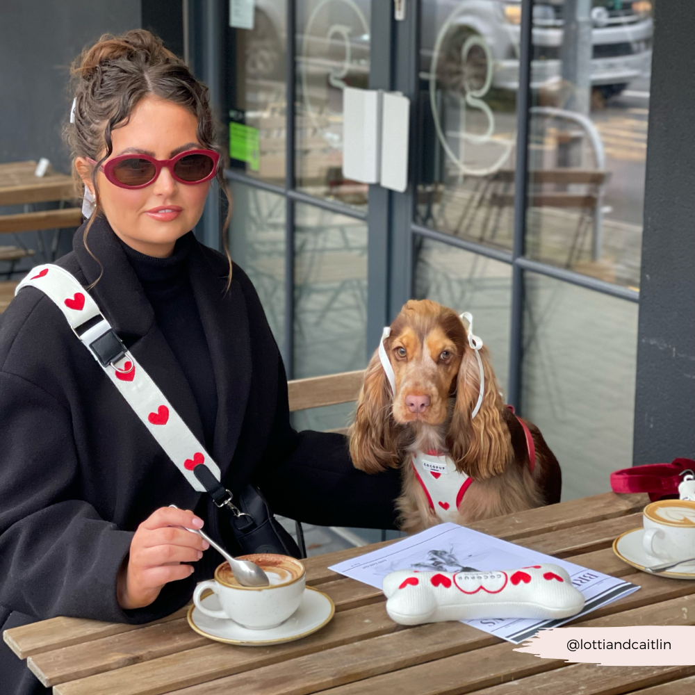 Harnais de Cou Tricoté Réglable