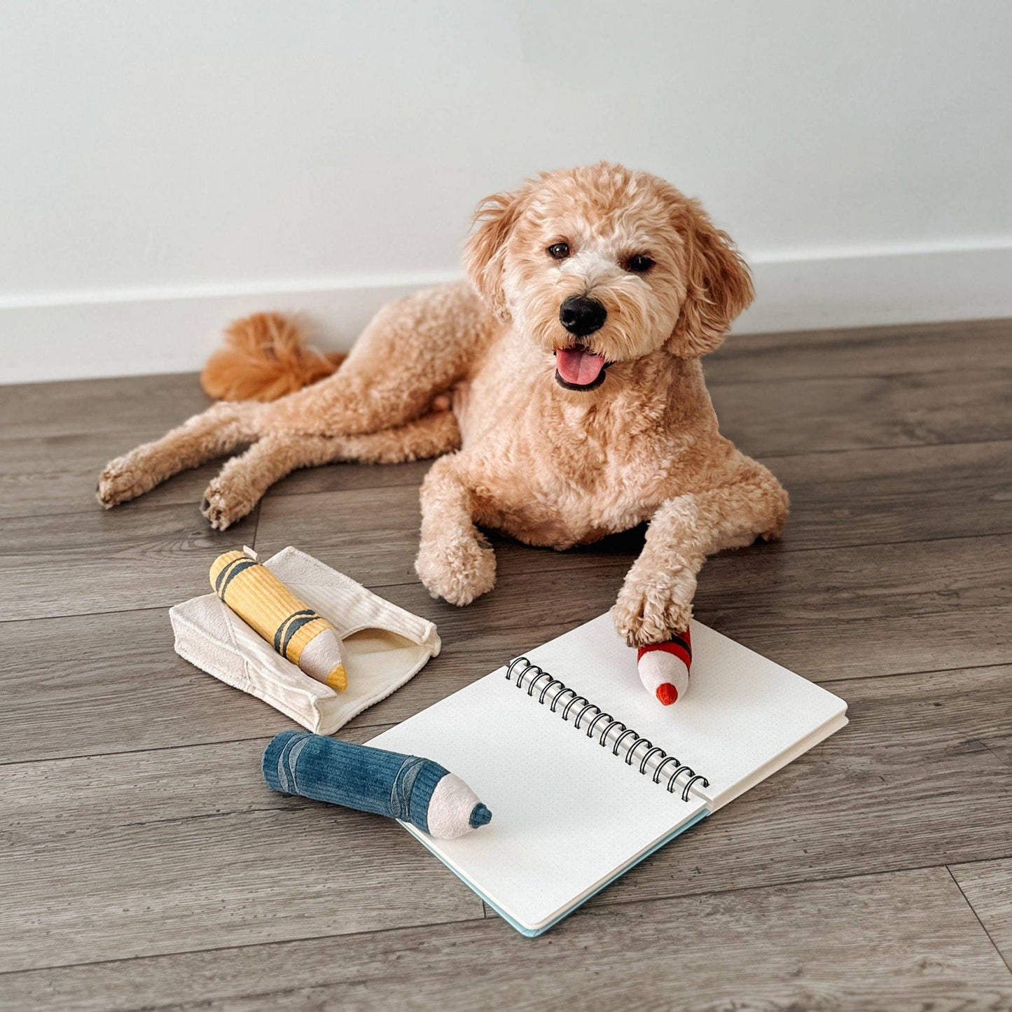 JOUET POUR CHIEN CRAYONS/ENRICHISSEMENT