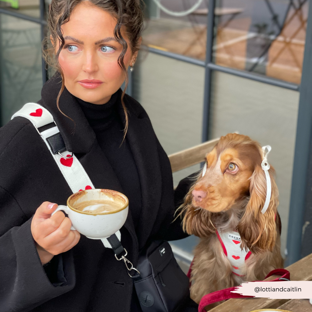 Harnais de Cou Tricoté Réglable