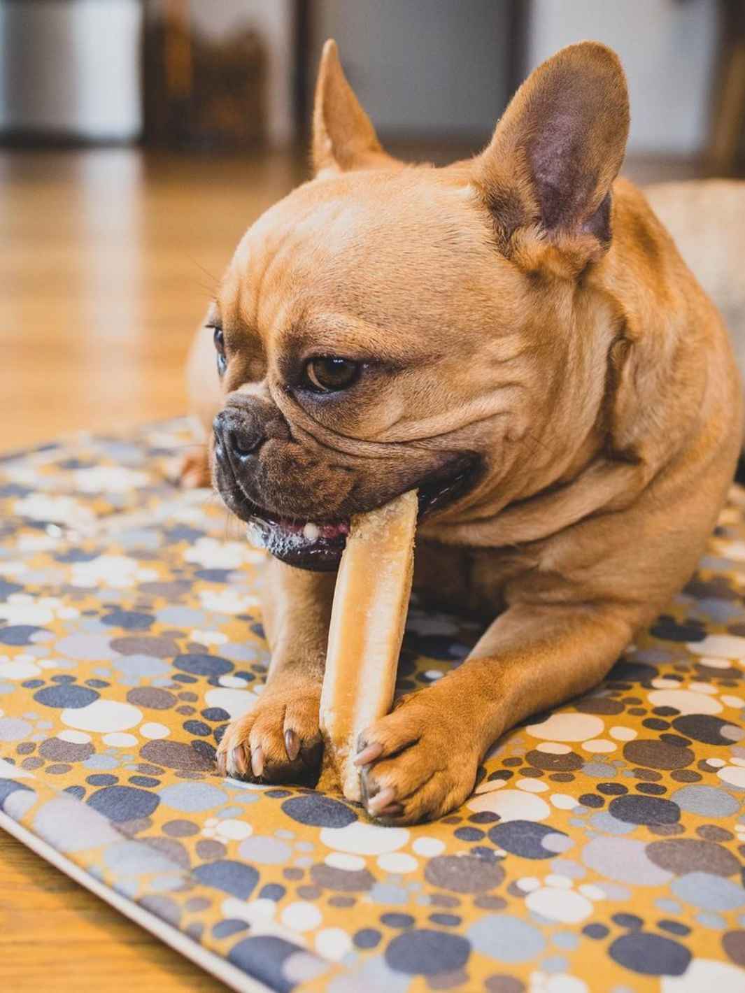 Fromage de yak aromatisé