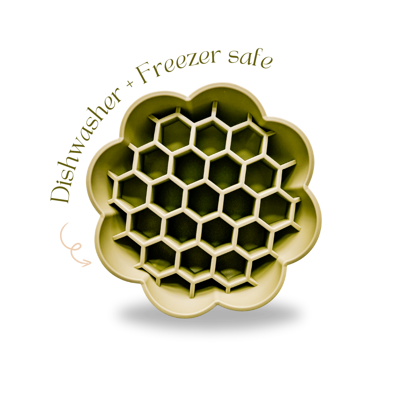 Gamelle verte ralentissant la prise alimentaire Daisy