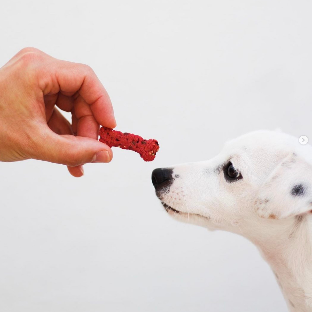 Lisboa Beet - Friandises Naturelles pour Chiens avec Superaliments