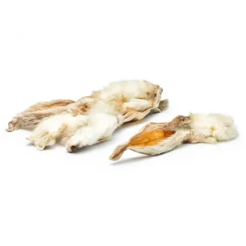 Oreilles de lapin avec poils