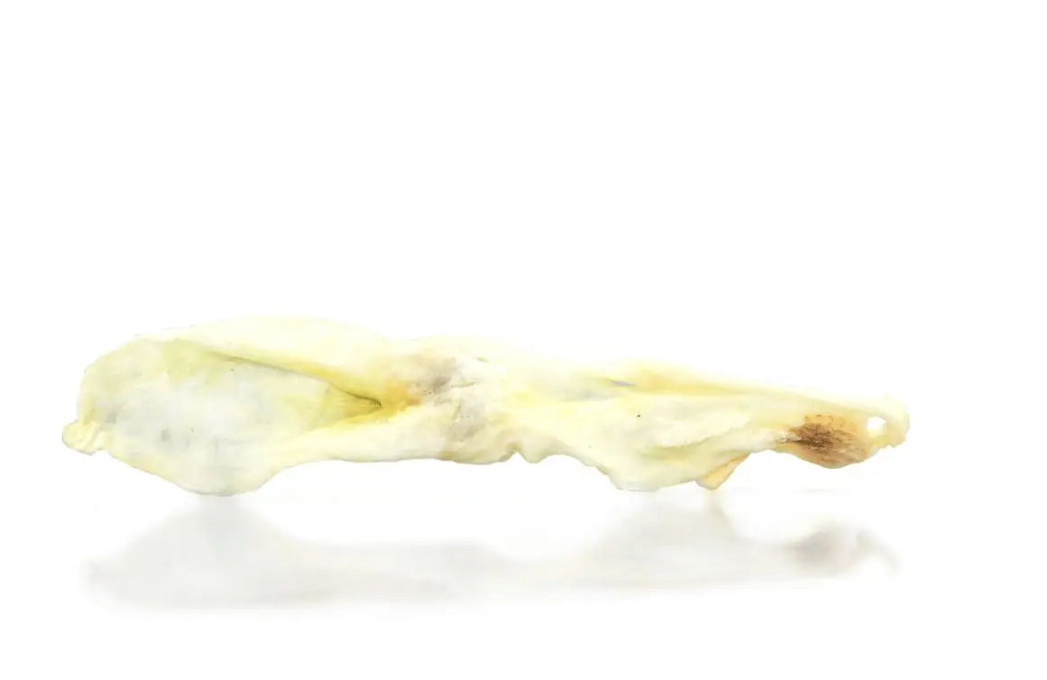 Oreilles de lapin avec poils